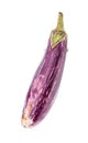 Long striped purple eggplant isolated on white
