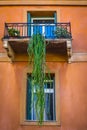 Long succulent hanging down from balcony of stucco building past first floor window - bright and colorful - Greece