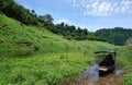 Long tail boat parking in the water in tropical forest Royalty Free Stock Photo