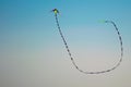 Long tail kite flying in blue sky