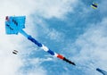 Long tail kite flying in cloudy sky Royalty Free Stock Photo