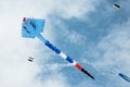 Long tail kite flying in cloudy sky Royalty Free Stock Photo