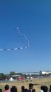 Long tail kite flying in sky