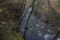 Long tail river inside the forest and mountains Royalty Free Stock Photo