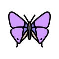 long tailed blue spring color icon vector illustration