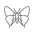 long tailed blue spring line icon vector illustration Royalty Free Stock Photo