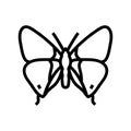 long tailed blue spring line icon vector illustration