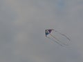 Long tailed kite flying under cloudy grey sky - Gujarat India kite flying festival Royalty Free Stock Photo