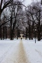 Long telephoto view of man walking along snowy road in a park in Warsaw, Poland, trees without leaves all around Royalty Free Stock Photo