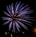 Long term exposure color image of New Year night celebration firework in blue on black background