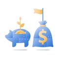 Metal piggy bank and money bag, long term investment strategy, value increase, pension savings