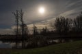 Spree forest by moonlight in January Royalty Free Stock Photo