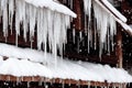 Long thin sharp icicles on house with snow on roof.