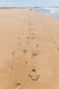 A long track of footprints, two couples, one is so far ahead they can bearly be seen, the atlantic sea is on their right