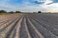 Long Tractor tracks on the harvested field Royalty Free Stock Photo