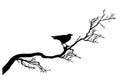 Twisted tree branch and black raven bird vector silhouette Royalty Free Stock Photo