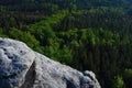 Long valley full of fresh green forests. The misty forest valley Royalty Free Stock Photo