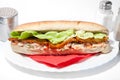 Long vegan sandwich with russian salad Royalty Free Stock Photo