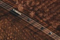 Long-vehicle truck and three cars on the road through forest in autumn sunset, top view drone photo Royalty Free Stock Photo