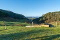 Long view across New Zealand farmland in cool spring morning about sunrise