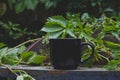 A long view of a blank black coffee mug on the park table Royalty Free Stock Photo