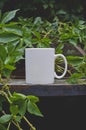 A Long View Of A Blank White Coffee Mug On The Park Table