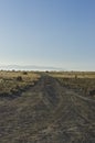 A long view of the country dirt road Royalty Free Stock Photo