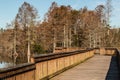 Long View of Fishing Pier at Stumpy Lake