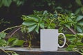 A long view of a single blank white coffee cup on the park table