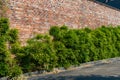 Long view of a tall retaining wall with old rusticated bricks and leafy shrubbery, creative copy space Royalty Free Stock Photo