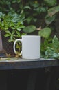 A long vire of a blank white coffee mug on the vine covered fire pit Royalty Free Stock Photo