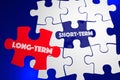 Long Vs Short Term Better Best Solution Puzzle Piece 3d Illustration