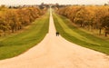 Windsor Great Park - The Long Walk Royalty Free Stock Photo