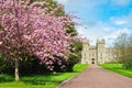 Long walk alley to Windsor castle in spring, London suburbs, UK