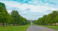 Long Walk park trees and Windsor Castle building, England