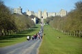 The Long Walk, Windsor Great Park, England, UK Royalty Free Stock Photo
