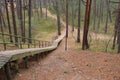 Long walking path stairs for walking in the woods among the Dunes Royalty Free Stock Photo