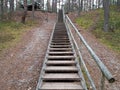 Long walking path stairs for walking in the woods among the Dunes Royalty Free Stock Photo