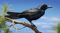 Long-wattled umbrellabird perched on a branch in the forest. Generative Ai