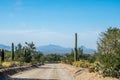 A long way down the road of Saguaro National Park, Arizona Royalty Free Stock Photo