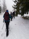 The long way through forest and snow