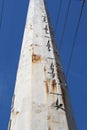 It is a long way to the top of the telephone pole. There is a ladder for climbing. Royalty Free Stock Photo