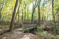 Long Wooden Footbridge in Autumn Forest Royalty Free Stock Photo