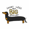 Short legs but big attitude dachshund dog cartoon illustration