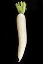 Long white Radish Royalty Free Stock Photo