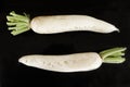 Long white Radish Royalty Free Stock Photo