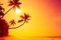 Long wide empty tropical island beach at warm vivid colorful sunset with palm trees Royalty Free Stock Photo