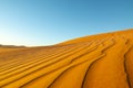 Long wind formed ripples with shadow defined edges in dunes of H Royalty Free Stock Photo