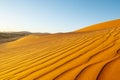 Long wind formed ripples with shadow defined edges in dunes of H Royalty Free Stock Photo