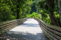 A long winding boardwalk along the river with a wooden rail along the sides with vast still river water, lush green trees Royalty Free Stock Photo